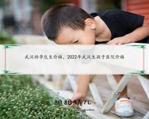 武汉助孕包生价格，2022年武汉生孩子医院价格