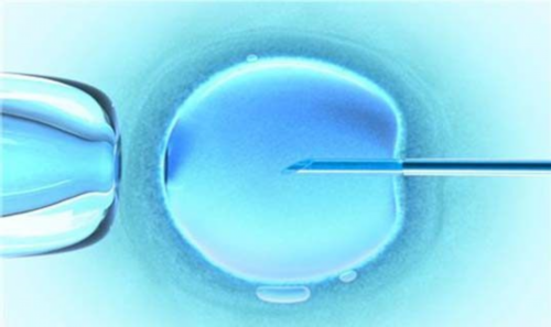 <strong>代生宝宝医院-婴儿痉挛症的症状，宝宝发烧</strong>