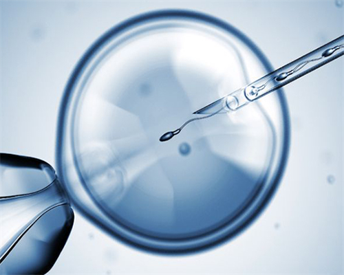 2026武汉亲子游10大经典景点中，有哪些适合儿童游玩的地方？