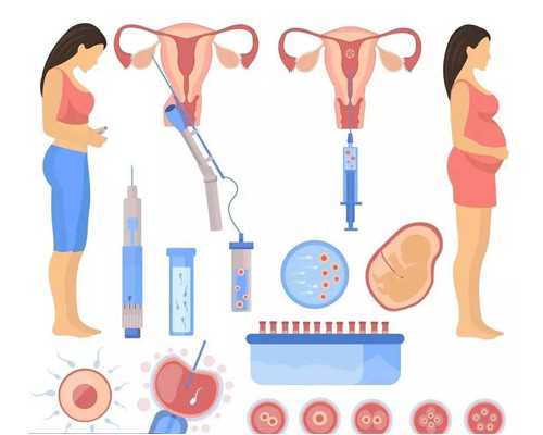 供卵试管：什么是染色体遗传？ 是什么原因造成的？