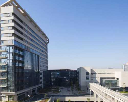 <b>自然周期人授，谨记第一次监测排卵的时间！</b>