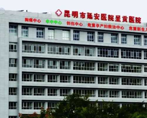 试管代孕3代费用,国外试管医院排名公布