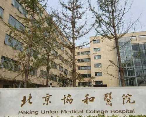 代孕私立医院,夫妻都有梅毒可以做试管_有梅毒可以做试管吗