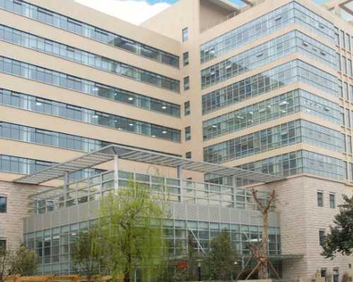 传承助孕多少钱（正规代孕费用）,王者荣耀空白符号怎么弄出来（王者荣耀空