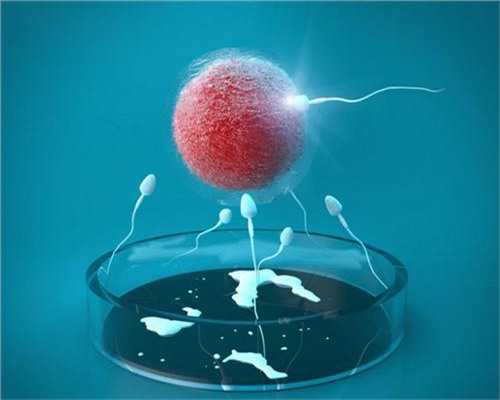 安全代孕中心,什么东西可以验dna DNA鉴定的流程*括哪些