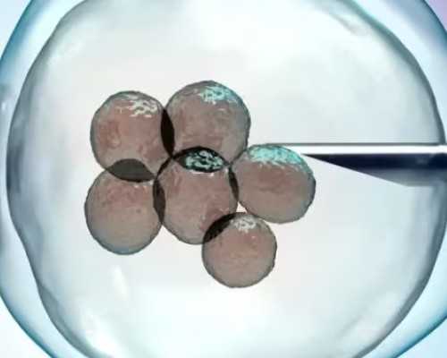 武汉有哪些做试管婴儿的医院！全程预算揭晓！