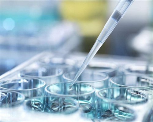 <strong>代孕及费用,精子畸形率高活力低做试管成功率</strong>