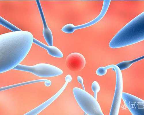 武汉协和医院供卵三代试管费用多少？附上妹子试管费用经验分享